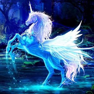 Meet your Posher, Bashira